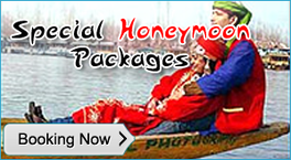 kashmir honeymoon package